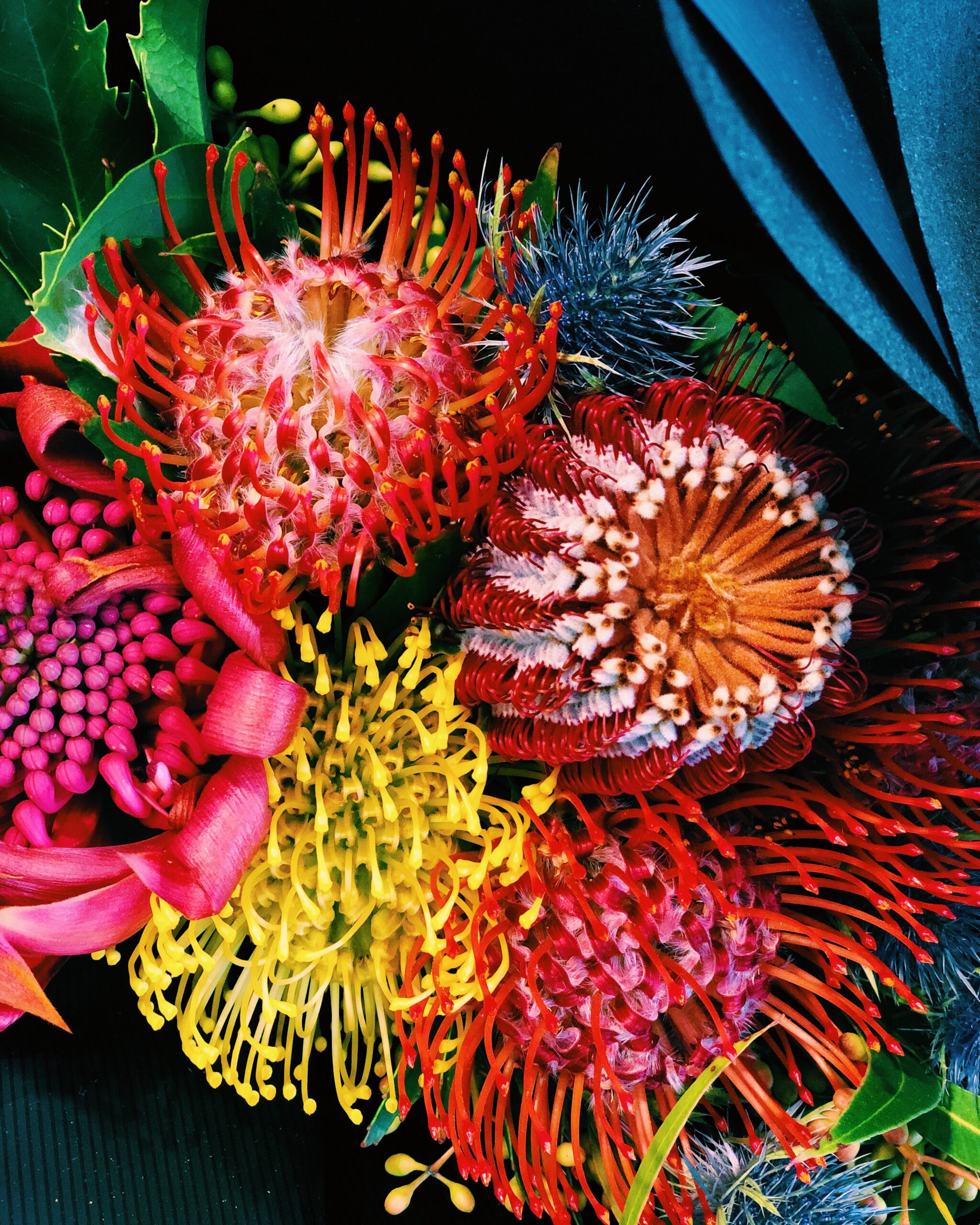 The Essential Guide to Australian Native Botanicals in Skincare