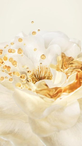 Soft white and gold flower representing Niacinamide