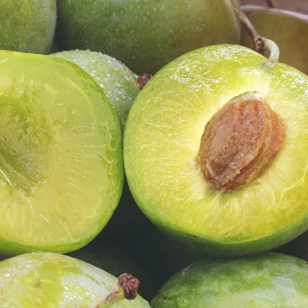 Kakadu Plum, a natural source of Vitamin C
